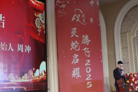 湖北扶星董事長周沖蛇年春晚致詞